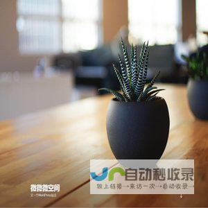 微微微空间 – 又一个WordPress站点